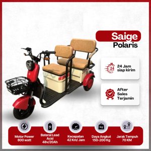 Saige Polaris